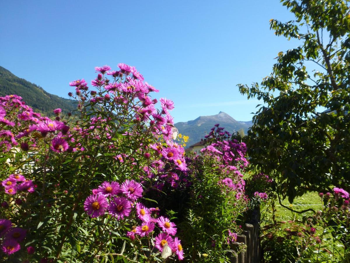 Stubnerbauer Villa Bad Hofgastein Bagian luar foto