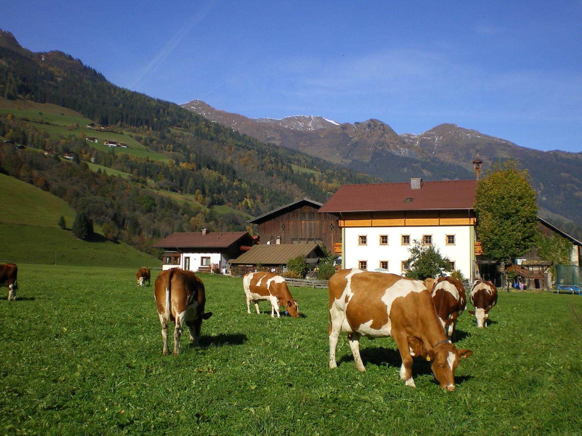 Stubnerbauer Villa Bad Hofgastein Bagian luar foto