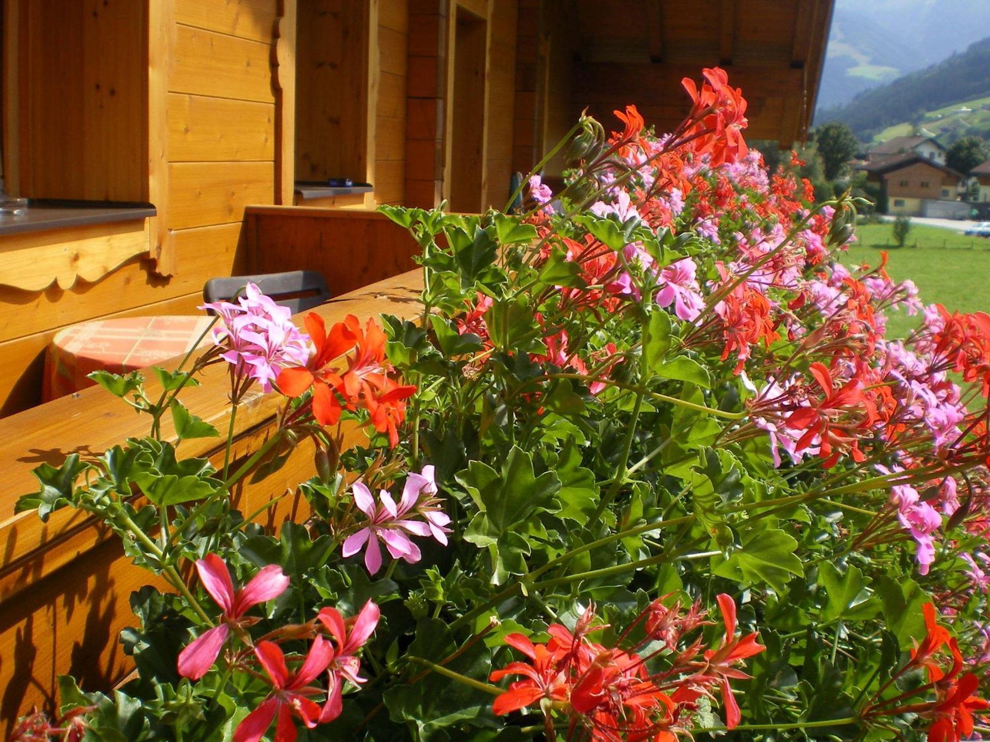 Stubnerbauer Villa Bad Hofgastein Ruang foto