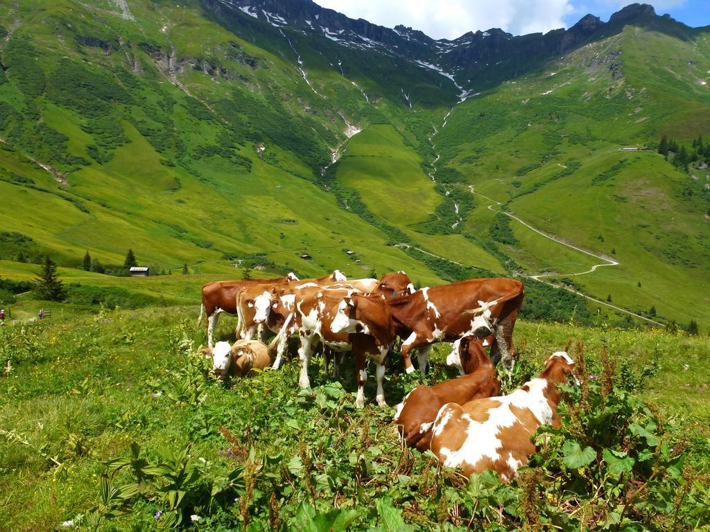 Stubnerbauer Villa Bad Hofgastein Bagian luar foto