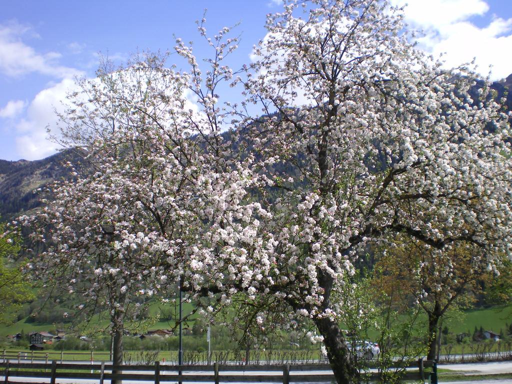 Stubnerbauer Villa Bad Hofgastein Bagian luar foto