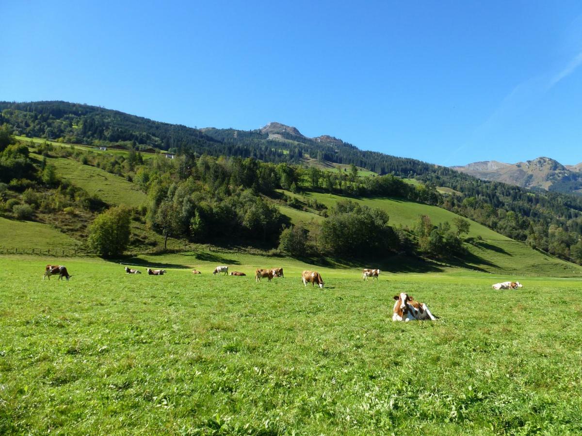 Stubnerbauer Villa Bad Hofgastein Bagian luar foto